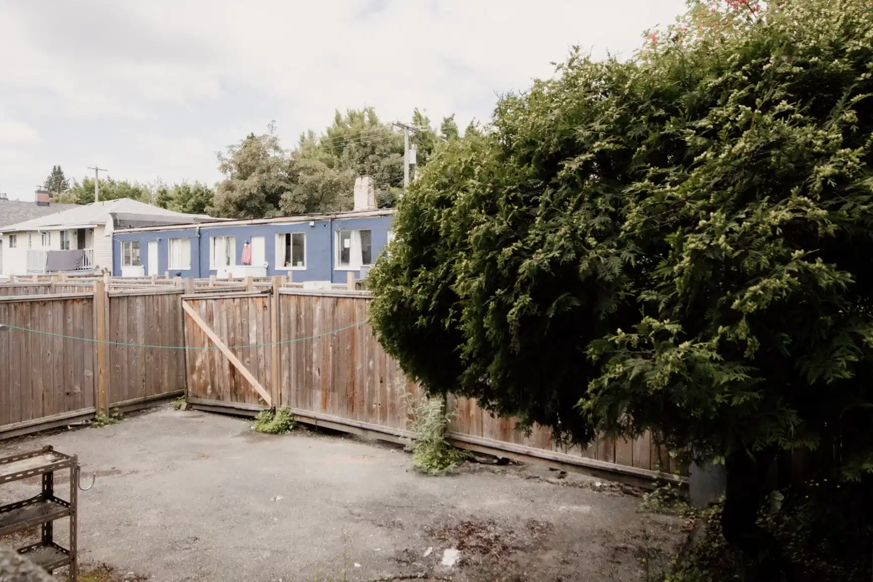 2095 Ferndale Street, Vancouver - Vancouver, Canada - Amenities