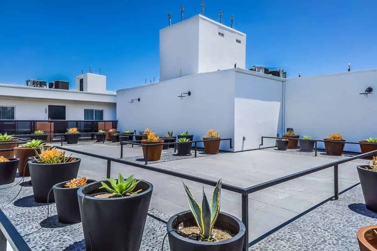 Western Lux, Los Angeles - Los Angeles, California, United States - Exterior