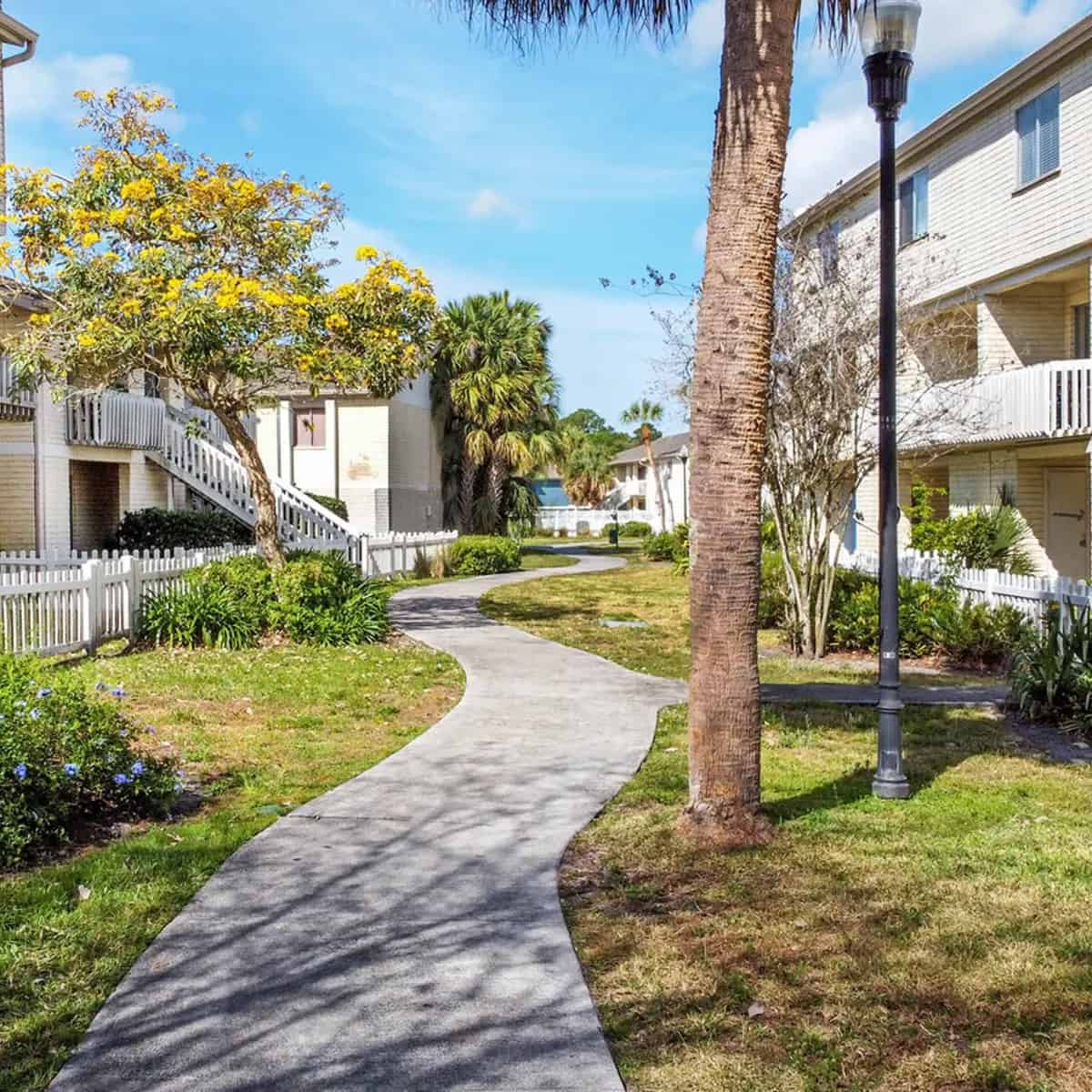  Palmera Pointe, Tampa 5