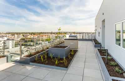 Maxwell, Los Angeles - Los Angeles, California, United States - Exterior