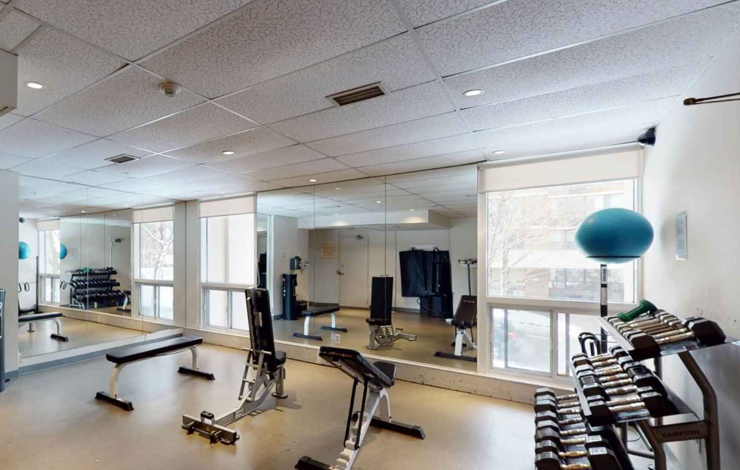 322 - Walmer Street Apartment, Toronto - Toronto, Ontario, Canada - Amenities