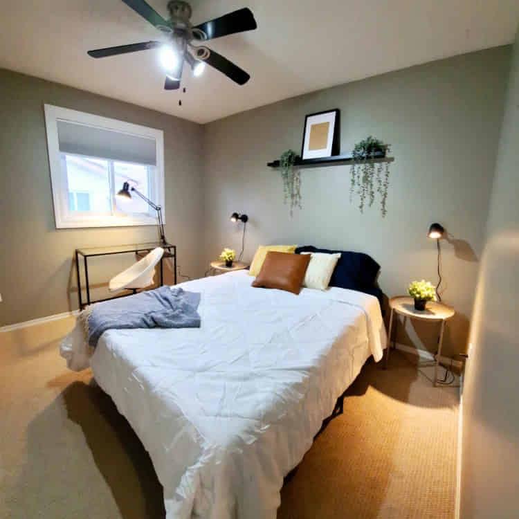 100 Old Meadow Lane, Waterloo - Waterloo, Ontario, Canada - Ash Room ( 1 Bed 1 Bath ) - Bedroom