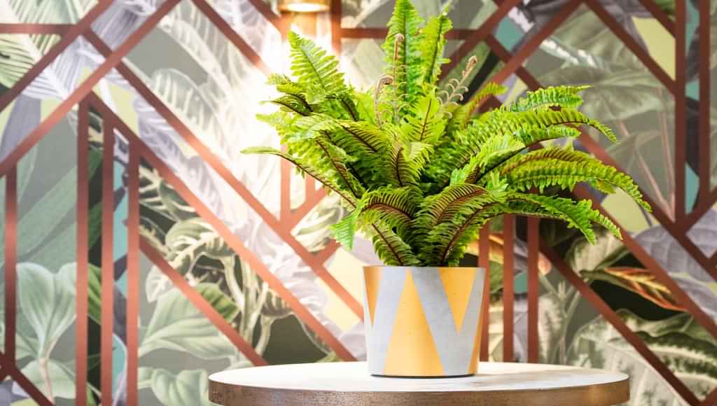 22 Upperton Road, Leicester - Leicester, England, United Kingdom - Amenities