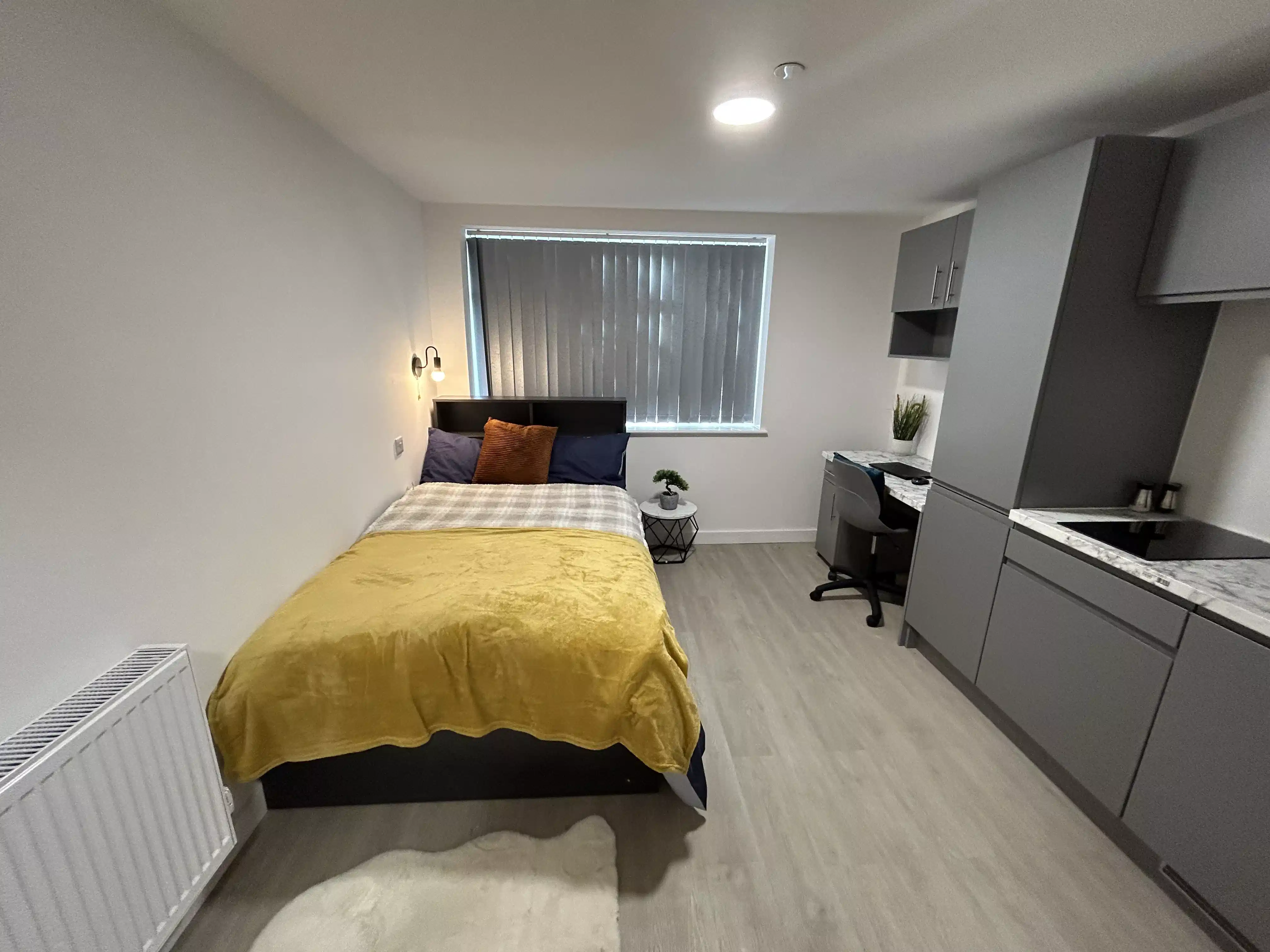 Platinum Studio