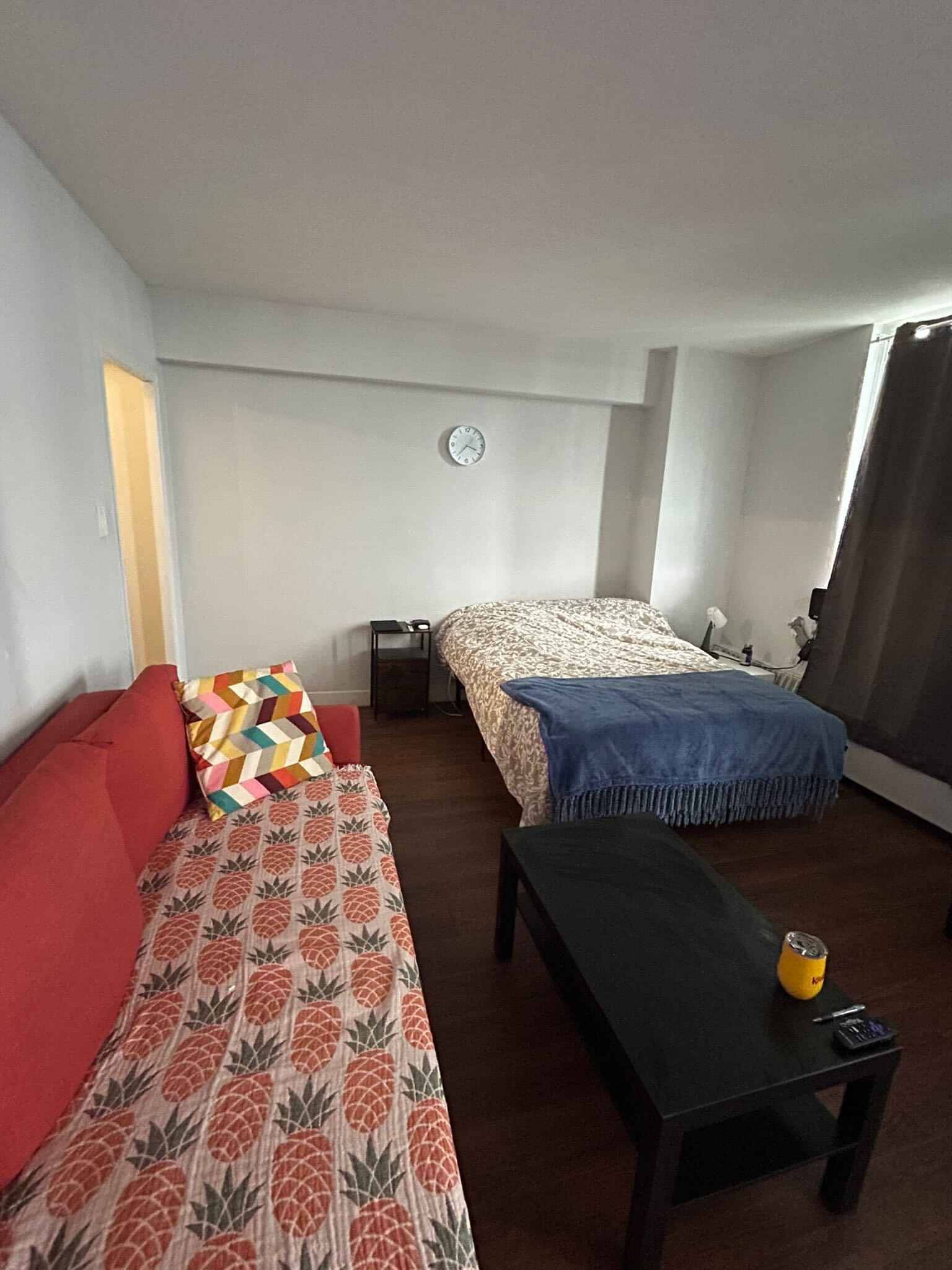 Davisville, Toronto - Toronto, Ontario, Canada - One Bedroom Studio - Bedroom