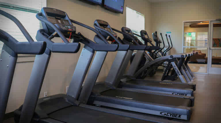 Lakeside Commons, Oswego - Syracuse, New York, United States - Amenities