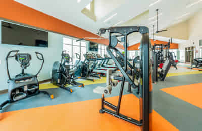 Aspen Heights Buffalo, Buffalo - Buffalo, New York, United States - Amenities