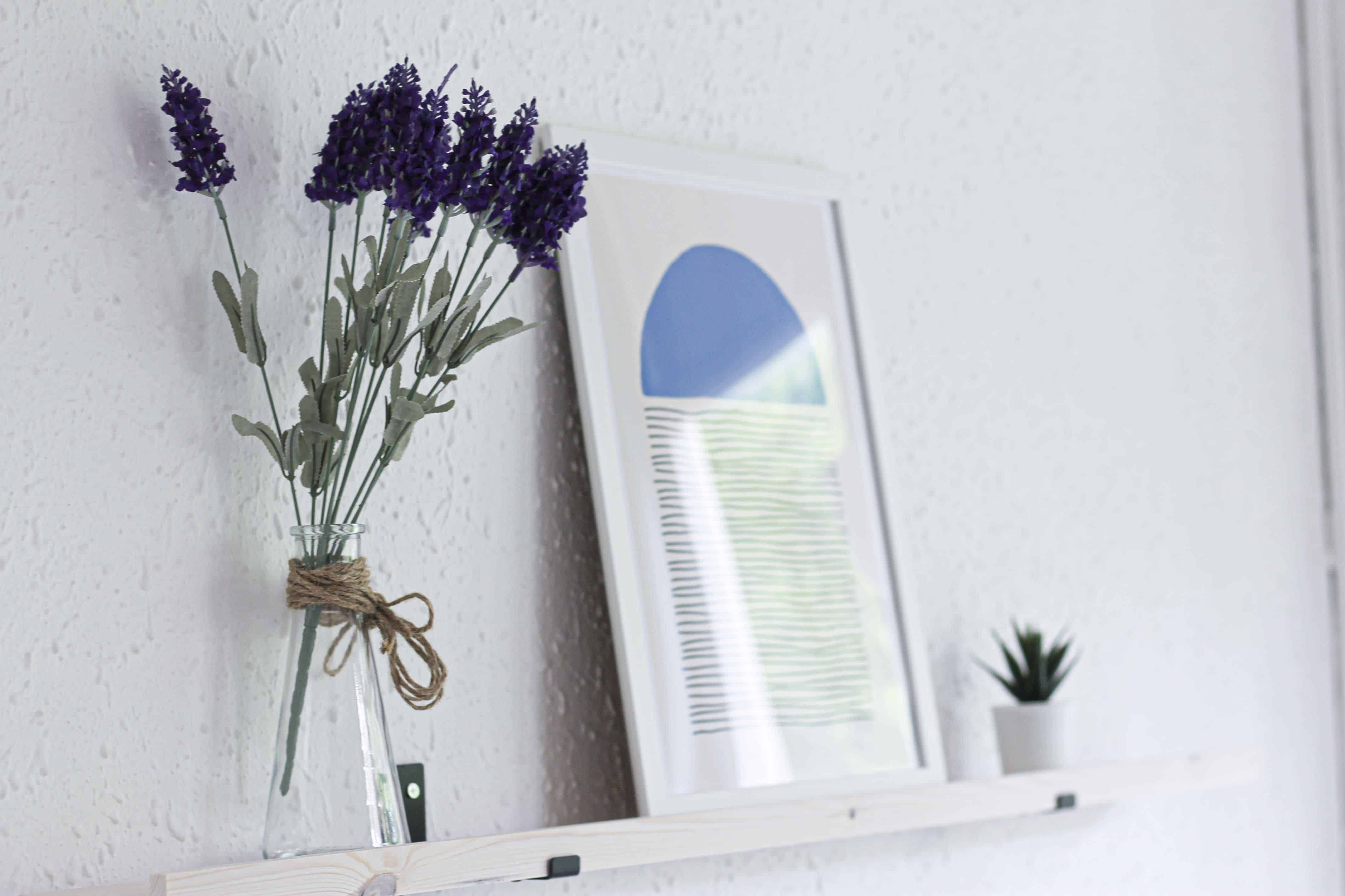 Kitchen?w=400&h=260&fit=crop&q=40&auto=format&trim=auto