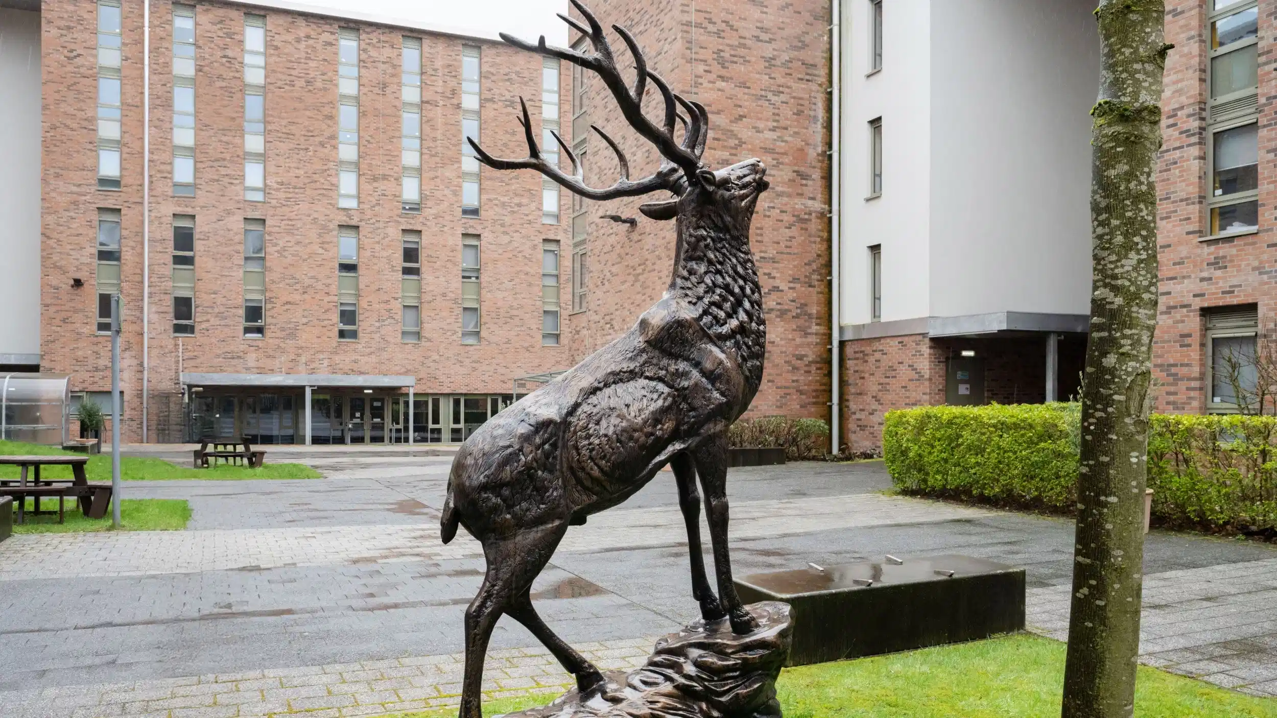 Foundry Courtyard, Glasgow 3