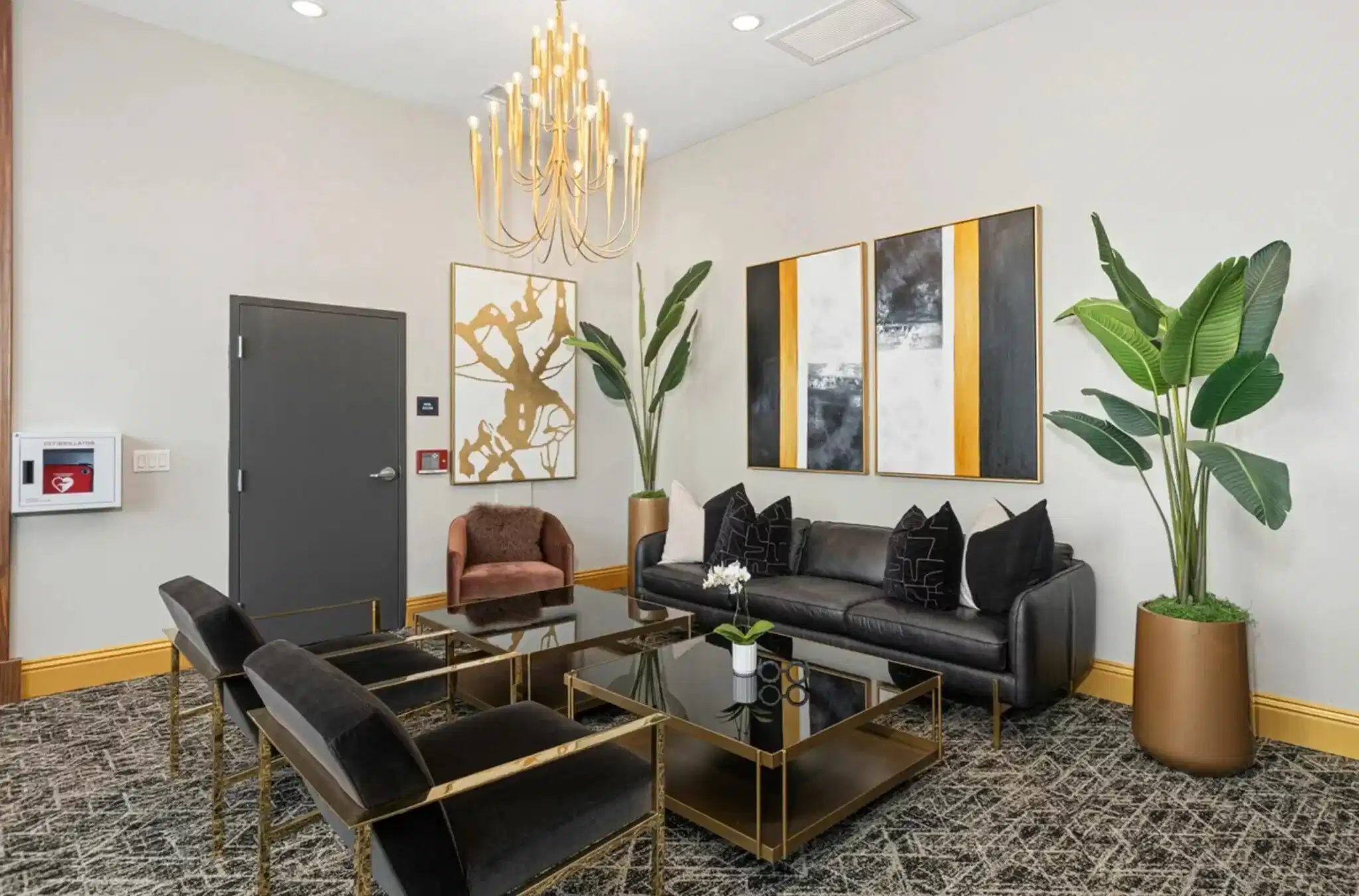 Stateside, San Diego - San Diego, California, United States - Amenities