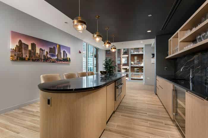 215 West Apartments, Chicago 4