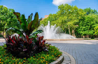Peter Cooper Village, New York City - New York City, New York, United States - Common Area