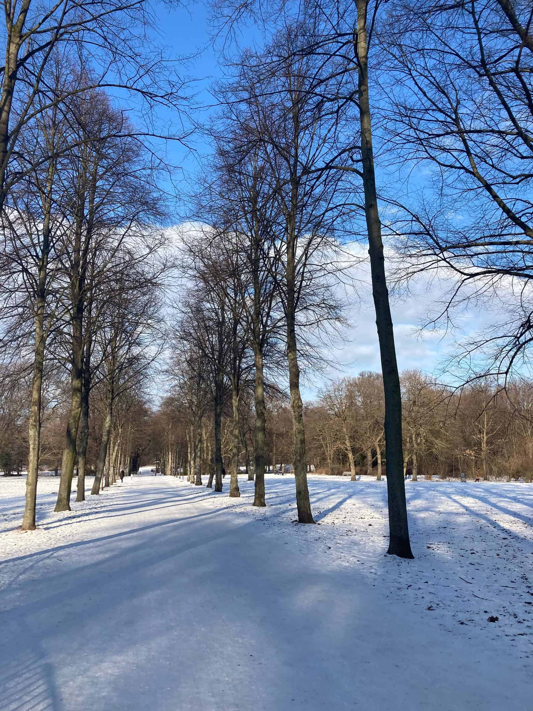 Mierendorffstraße, Berlin - Berlin, Germany - Exterior