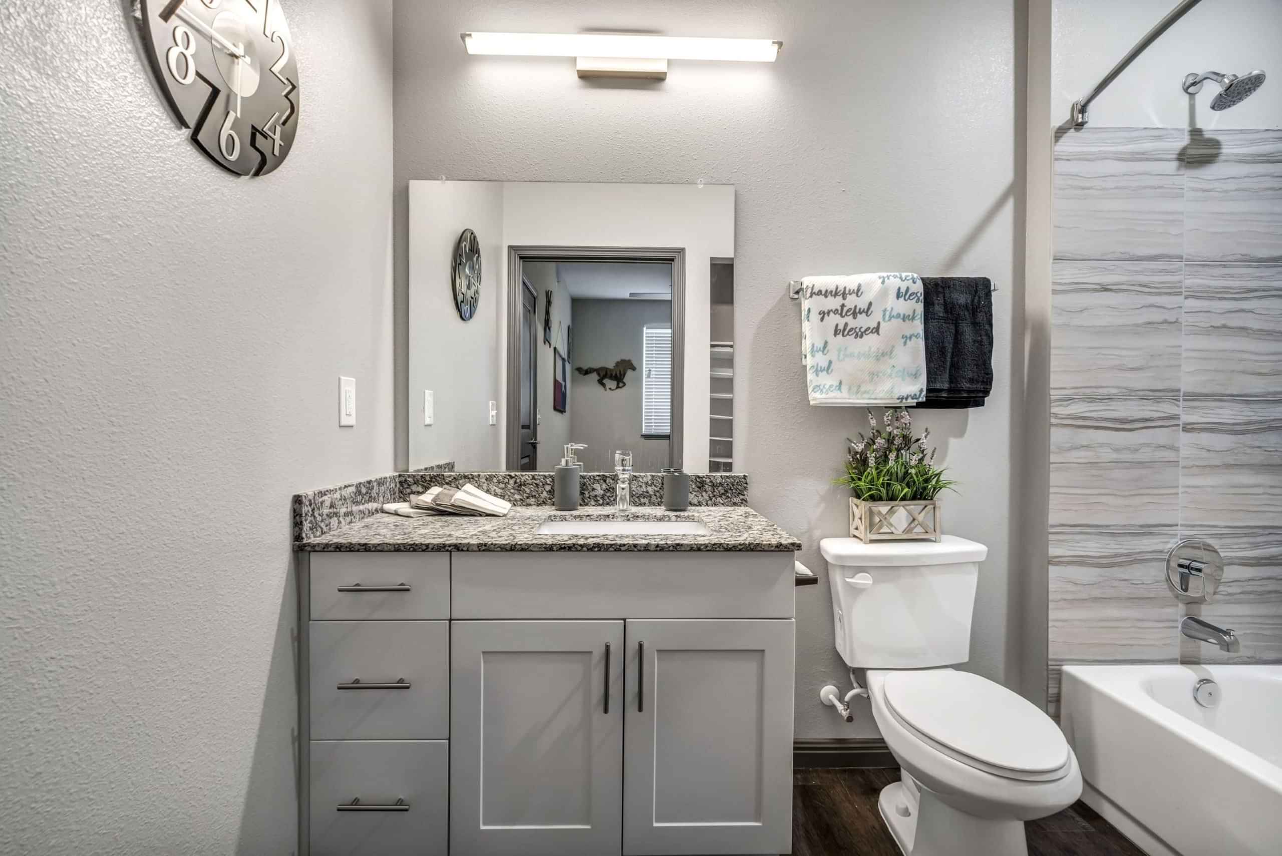 NTX, Denton - Denton, Texas, United States - Bathroom
