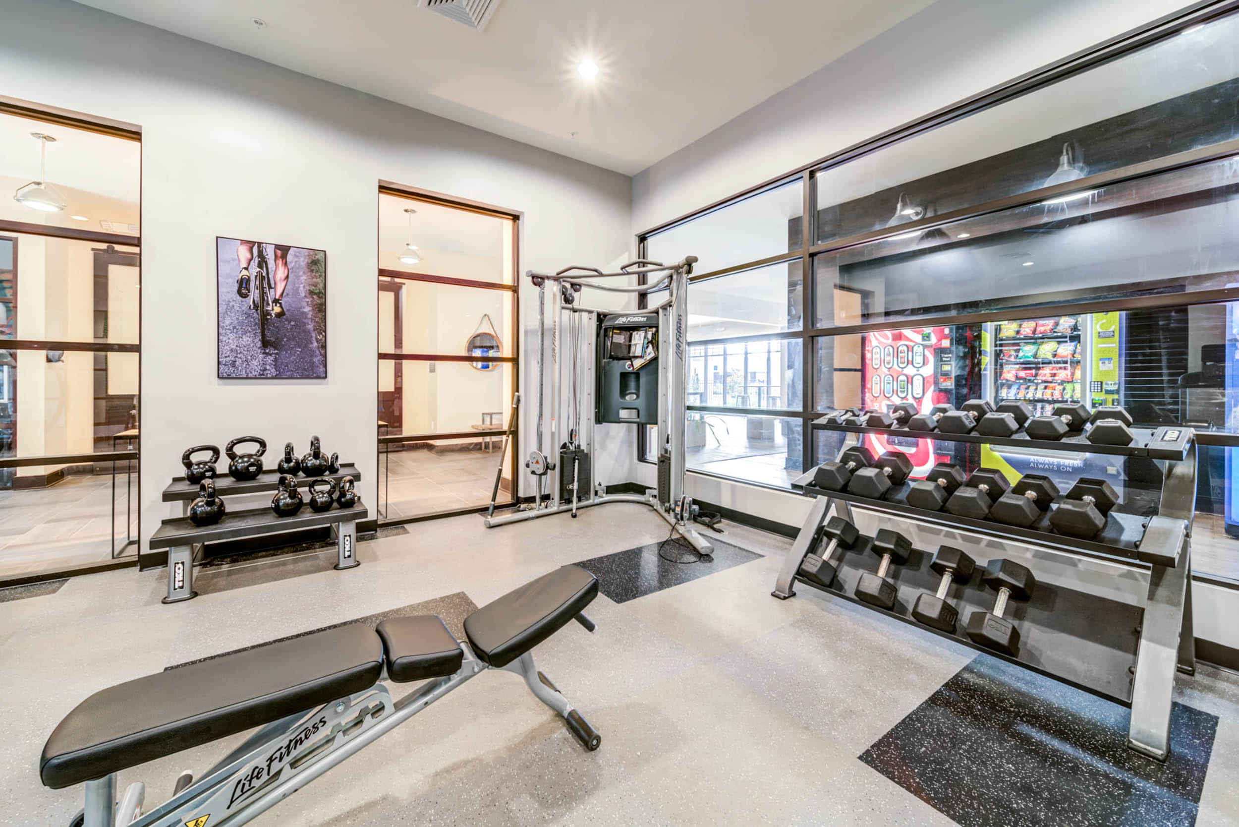 University Edge Dickinson Lofts, Greenville - Greenville, United States - Amenities