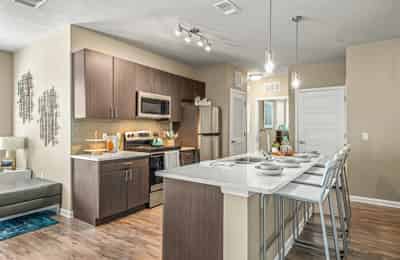 IQ Apartments, Tampa - Tampa, Florida, United States - Kitchen