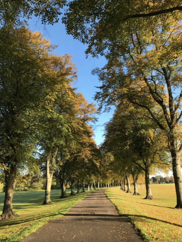 Exterior?w=400&h=260&fit=crop&q=40&auto=format&trim=auto