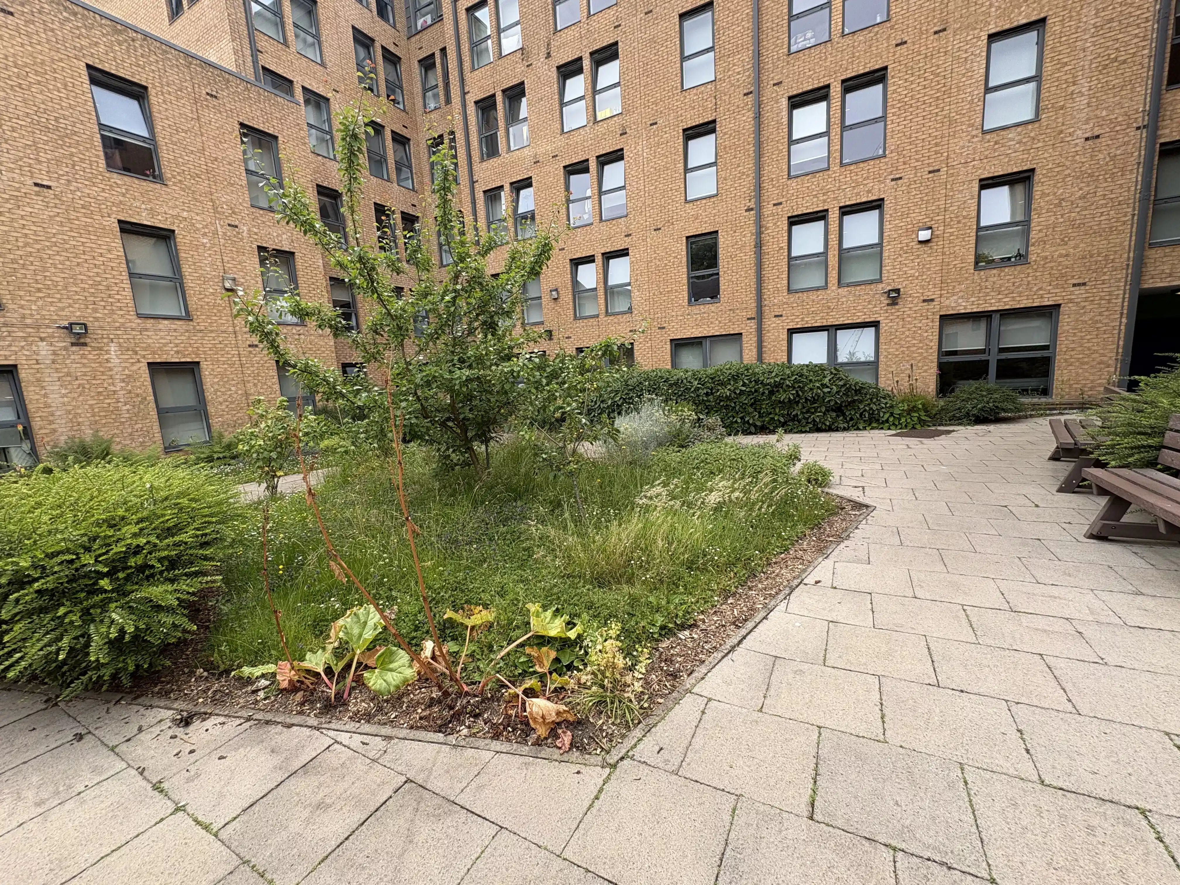 iQ Grove, Edinburgh image 13