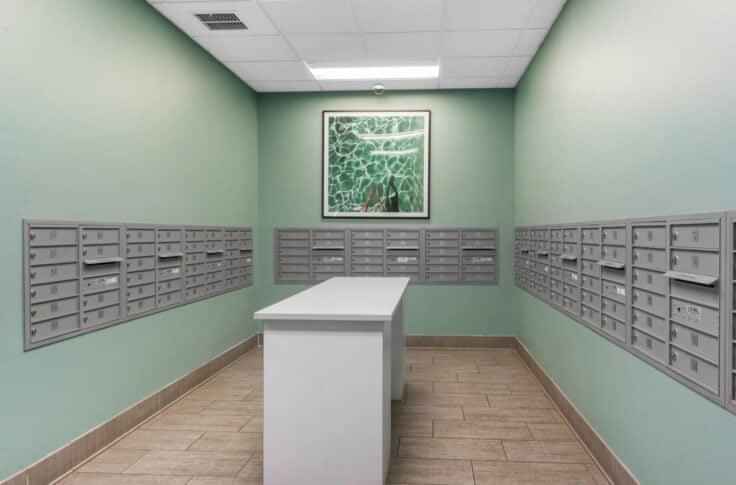 The Rowe Apartments, Tallahassee - Tallahassee, Florida, United States - Amenities