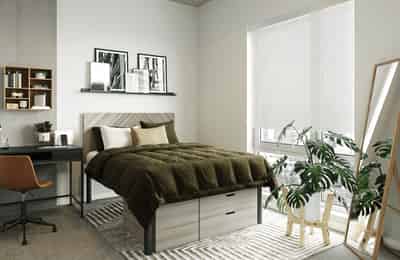 Otto, College Station - College Station, Texas, United States - Bedroom