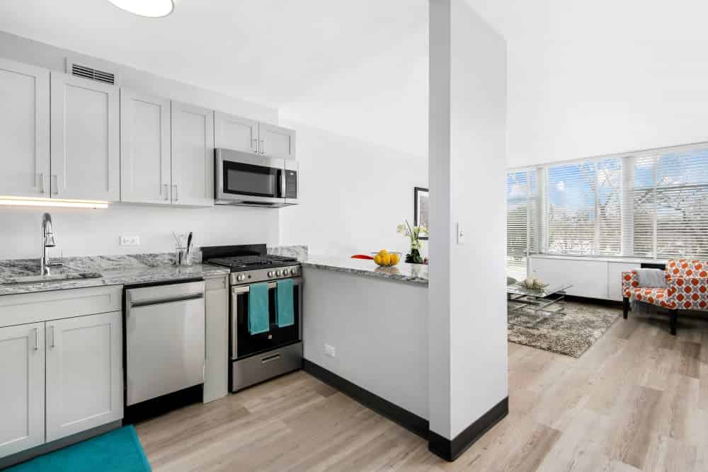 Prairie Shores Bronzeville, Chicago 5