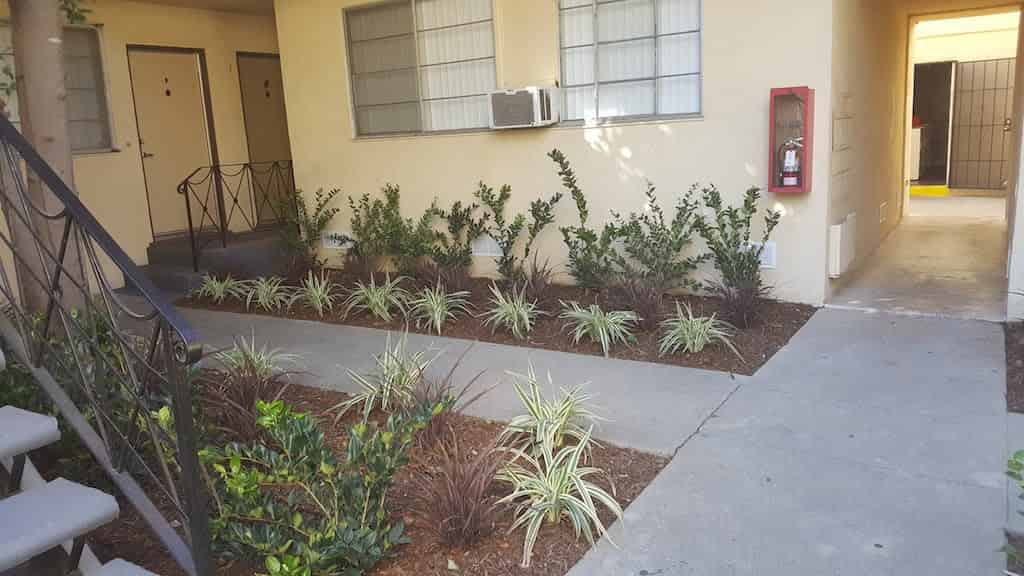 South Olive Apartments, Los Angeles 5