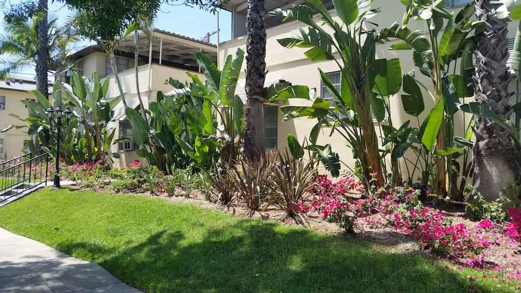 South Olive Apartments, Los Angeles - Los Angeles, California, United States - Common Area