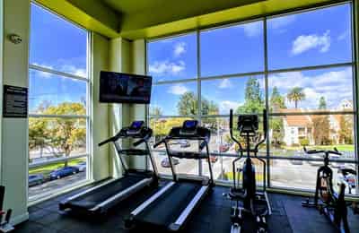Element By Stuho, Los Angeles - Los Angeles, California, United States - Amenities