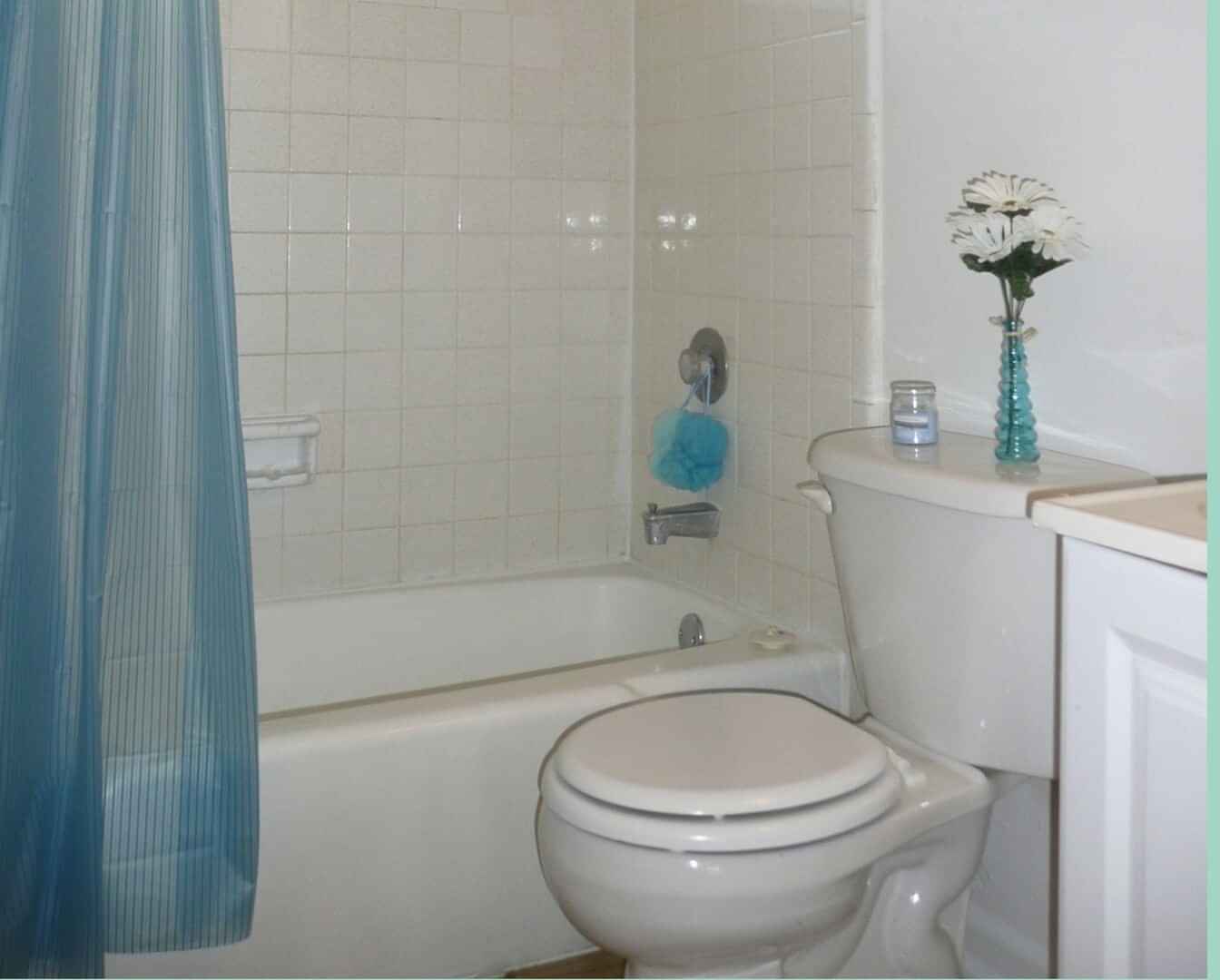 Covina Plaza, San Antonio - San Antonio, Texas, United States - Bathroom