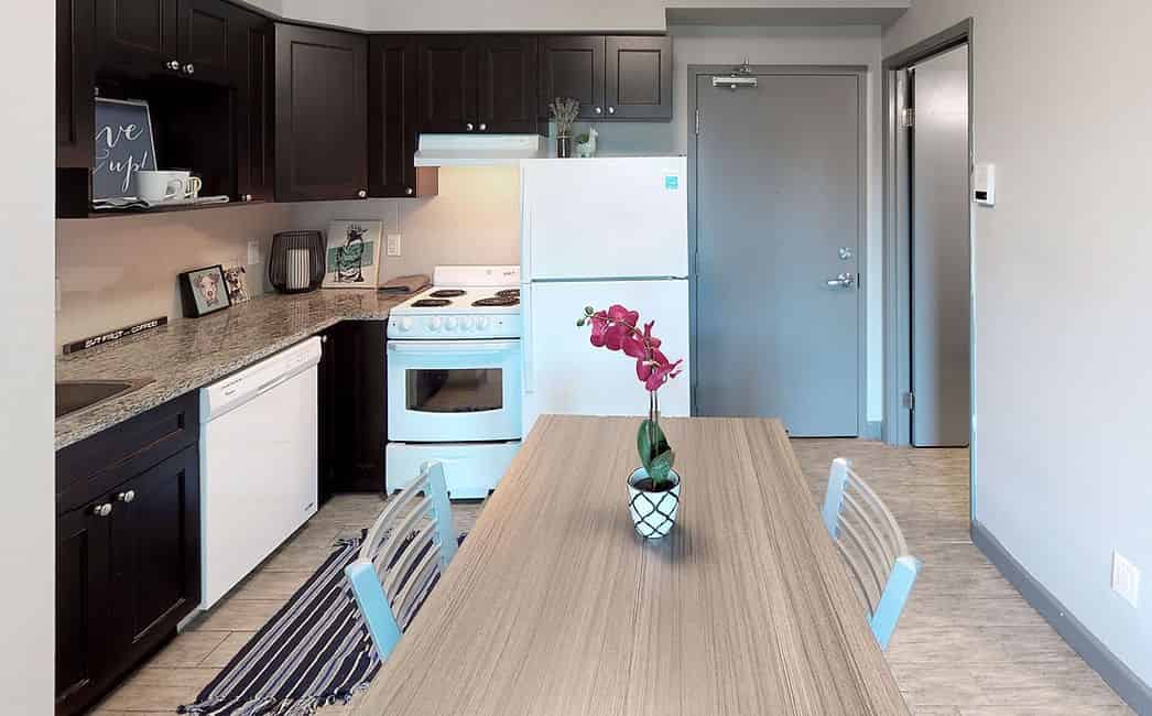 228 Albert St., Waterloo - Waterloo, Ontario, Canada - Kitchen