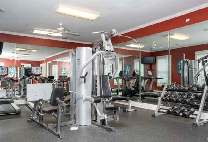 Elora Place, Lafayette - Lafayette, Louisiana, United States - Amenities