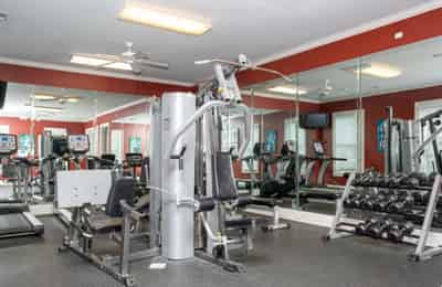 Elora Place, Lafayette - Lafayette, Louisiana, United States - Amenities