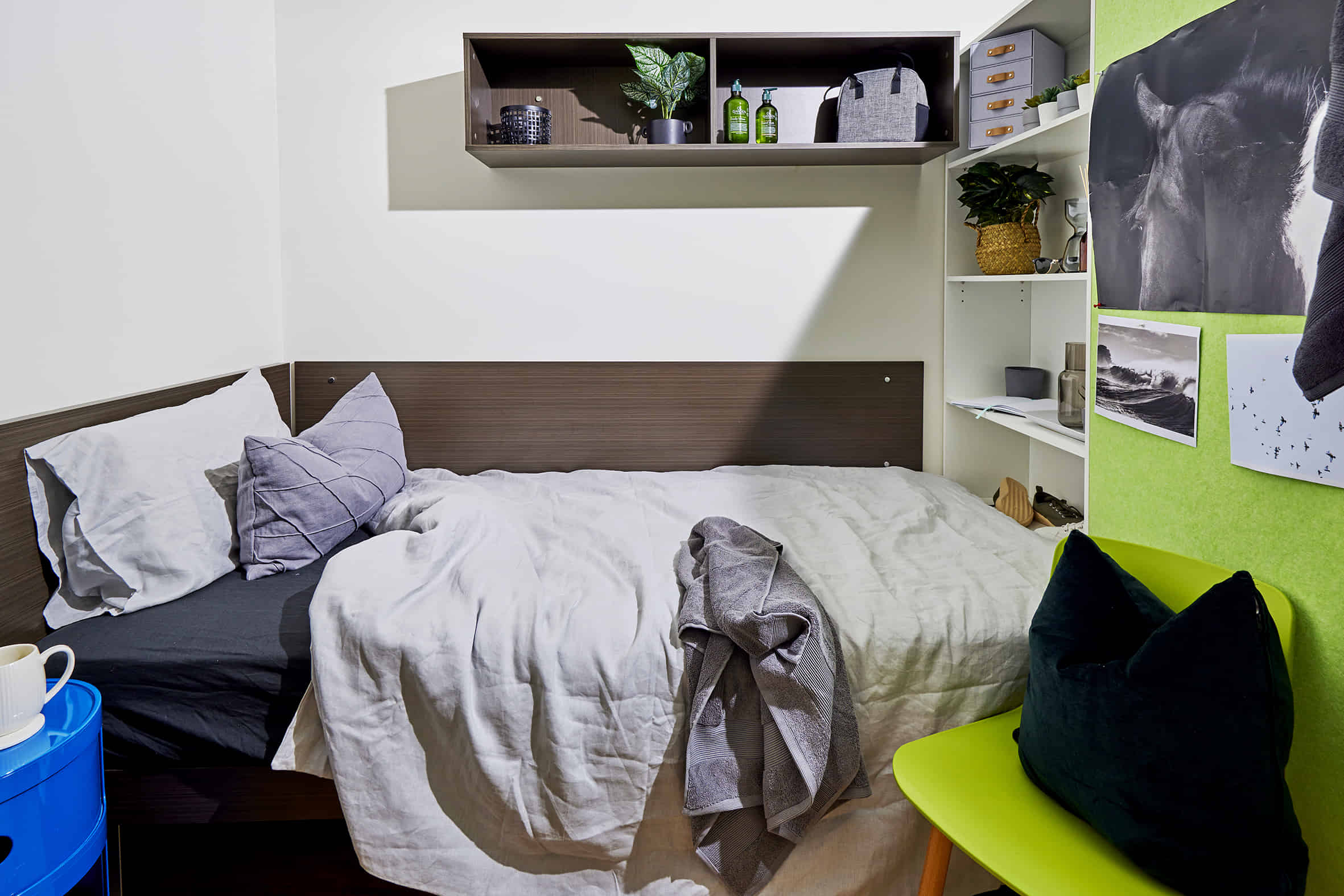 Ultra Twin, King Single Bed