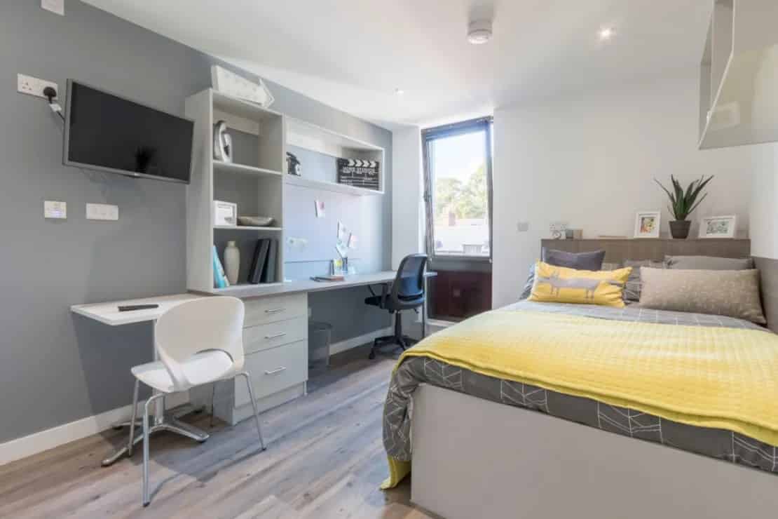 Standard Studio