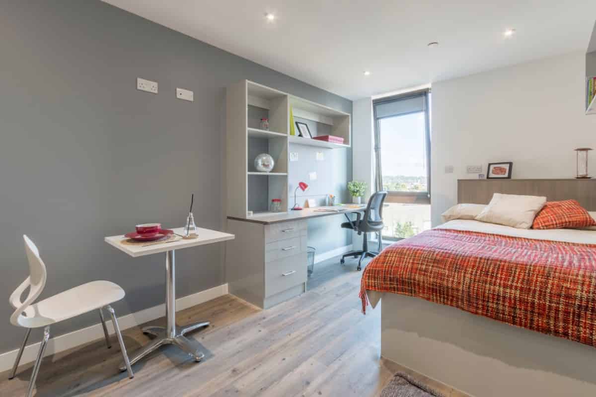 Large Premium Studio
