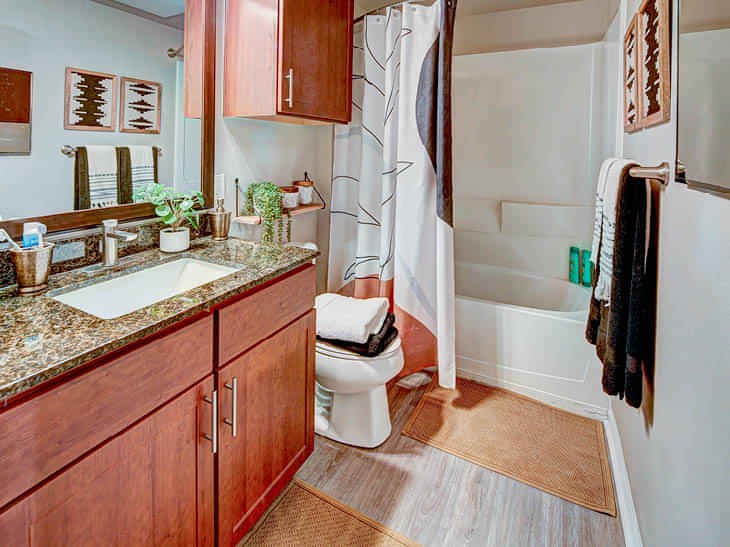 601 Copeland, Tallahassee - Tallahassee, Florida, United States - Bathroom