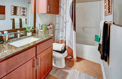 601 Copeland, Tallahassee - Tallahassee, Florida, United States - Bathroom