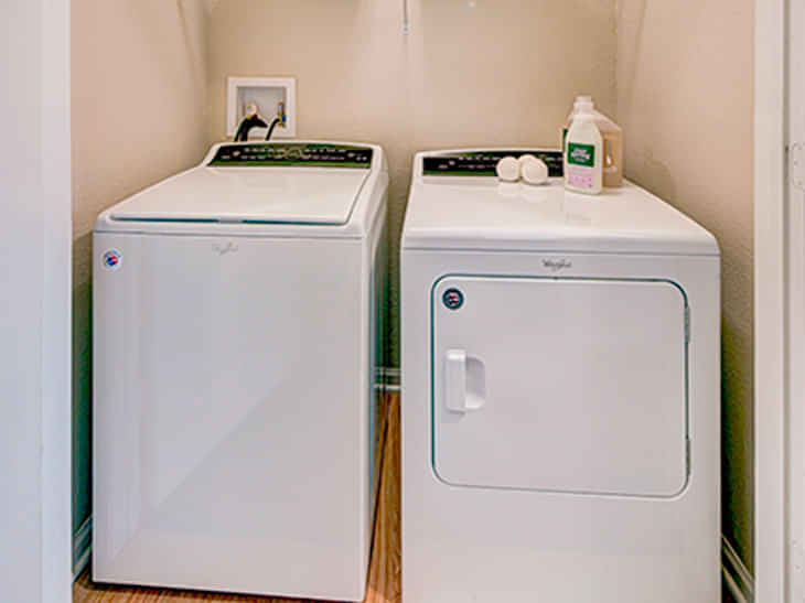 U Club On Woodward, Tallahassee - Tallahassee, Florida, United States - Amenities