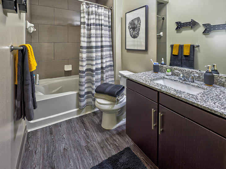 The Arlie, Arlington - Arlington, Texas, United States - Bathroom