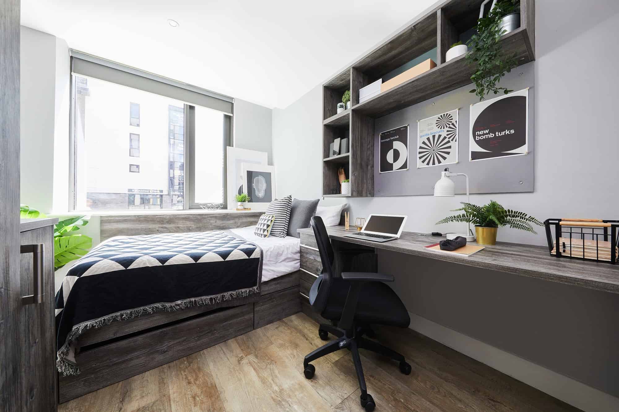 Standard Plus Studio