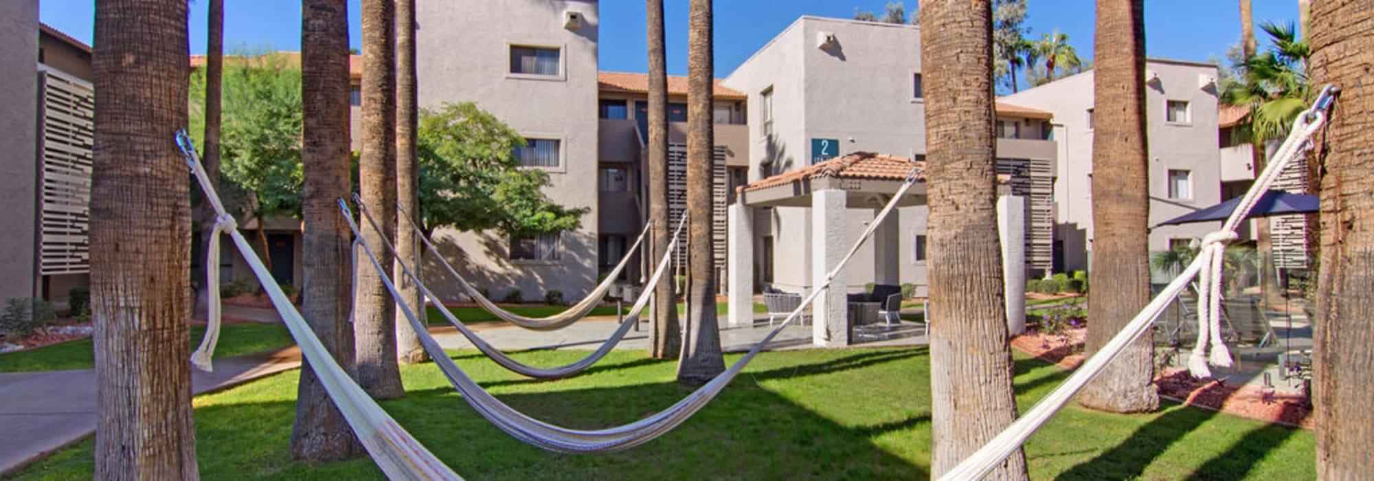 Riverside, Tempe - Tempe, Arizona, United States - Common Area