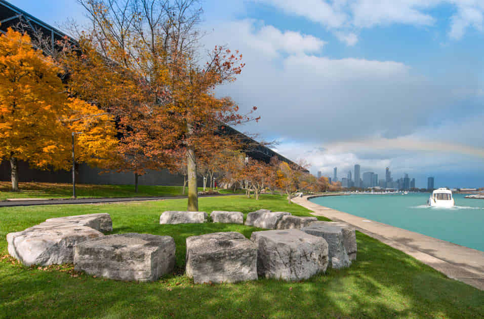 Eden Commons, Chicago 5