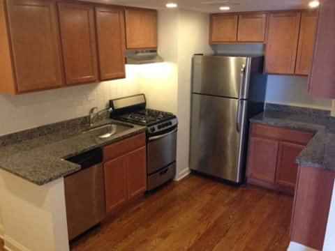 14 West Elm Apartments, Chicago - Chicago, Illinois, United States - Kitchen