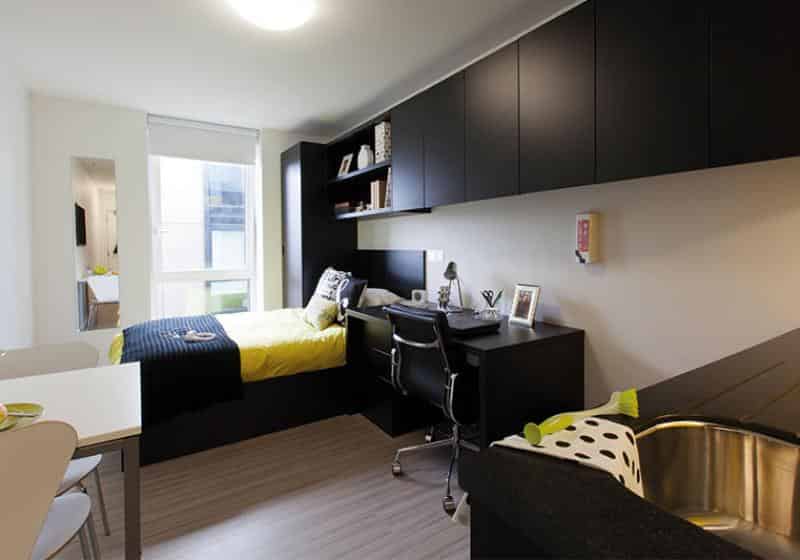 Gold City View Studio