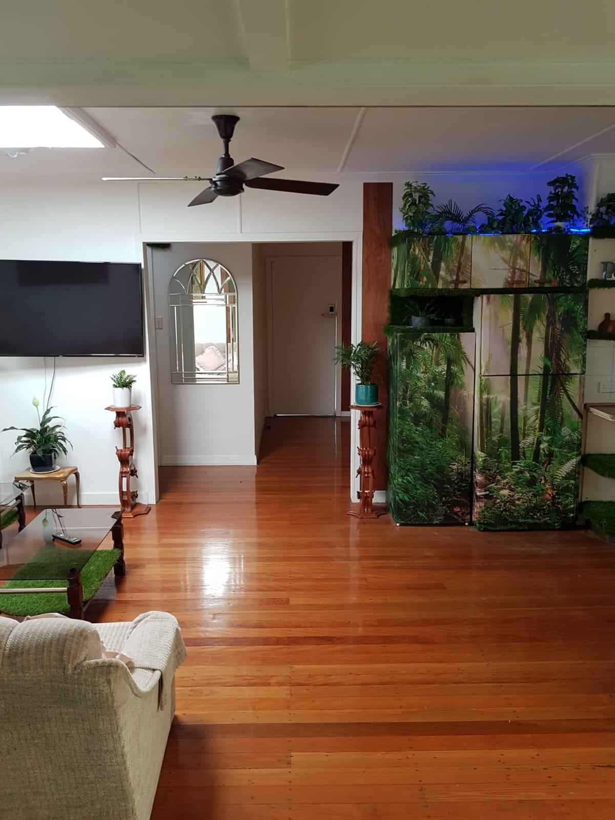 Banyo House - Brisbane, Queensland, Australia - WhatsApp Image 2018-11-10 at 11.54.21 AM