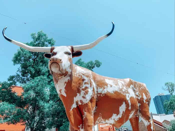 HillTop, Austin - Austin, Texas, United States - Amenities