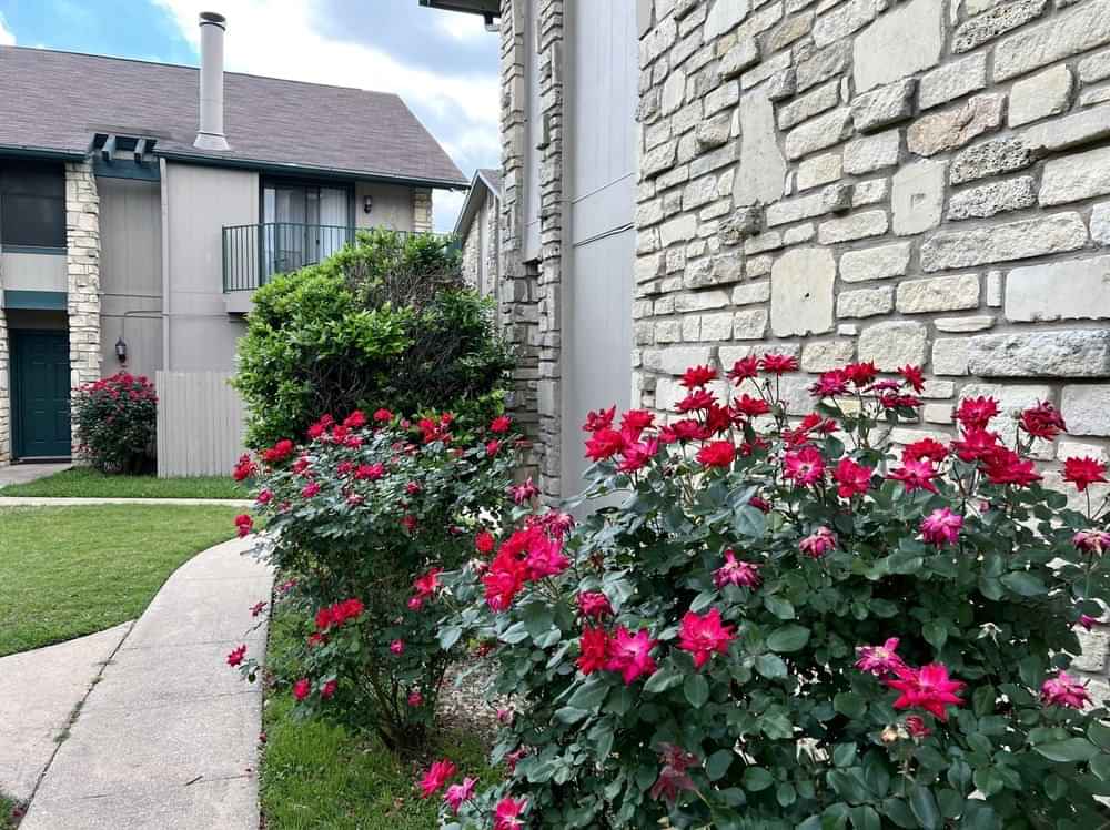 Woodwillow Townhomes, Austin - Austin, Texas, United States - Exterior
