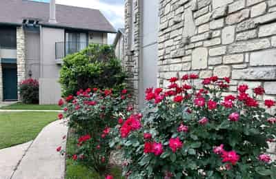 Woodwillow Townhomes, Austin - Austin, Texas, United States - Exterior