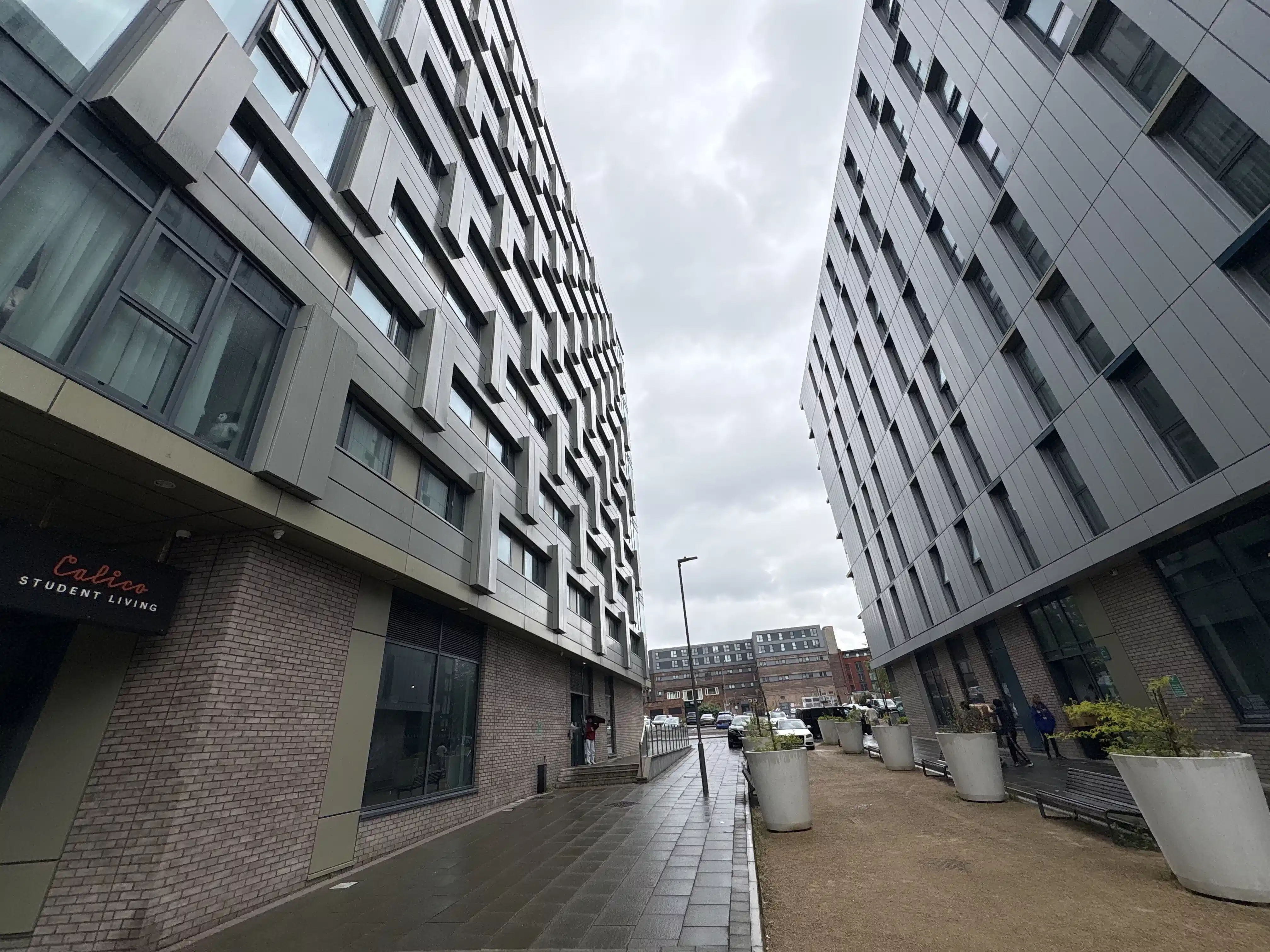 Calico, Liverpool image 64