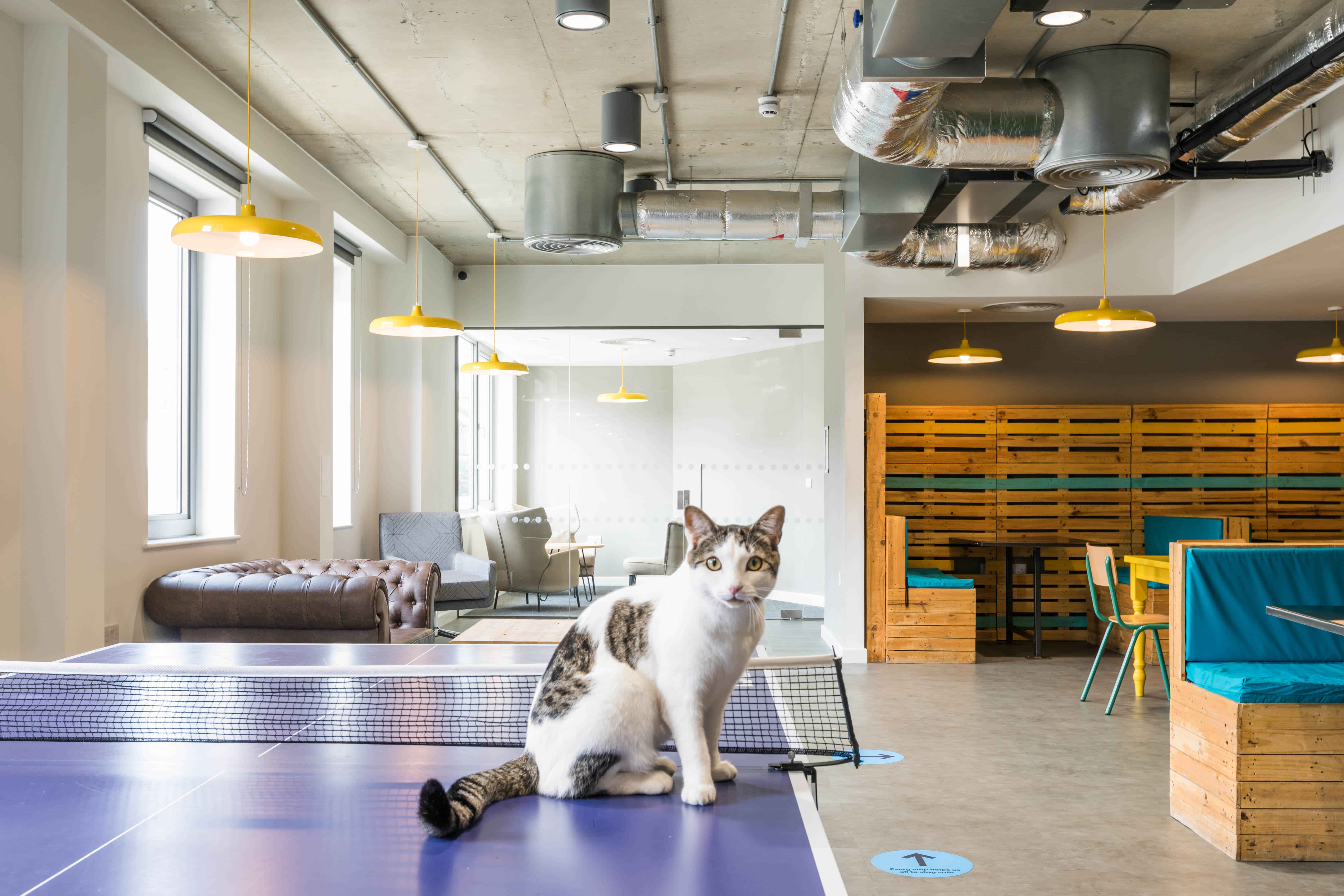 The Cam Foundry, Cambridge - Cambridge, England, United Kingdom - Common Area